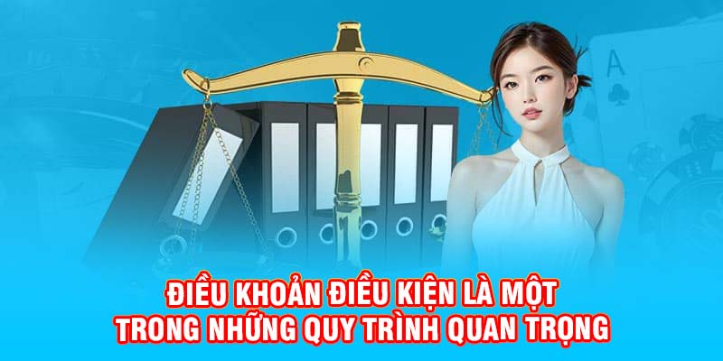 Điều khoản điều kiện là một trong những quy trình quan trọng