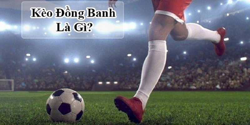 Tỷ lệ đồng banh