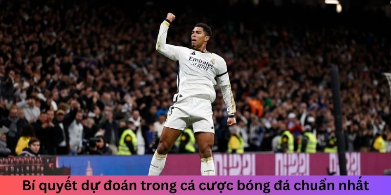 Bí quyết dự đoán trong cá cược bóng đá chuẩn nhất